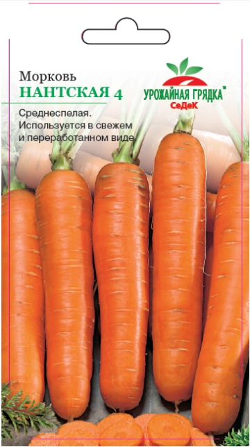 Морковь Нантская 4 - Урожайная грядка