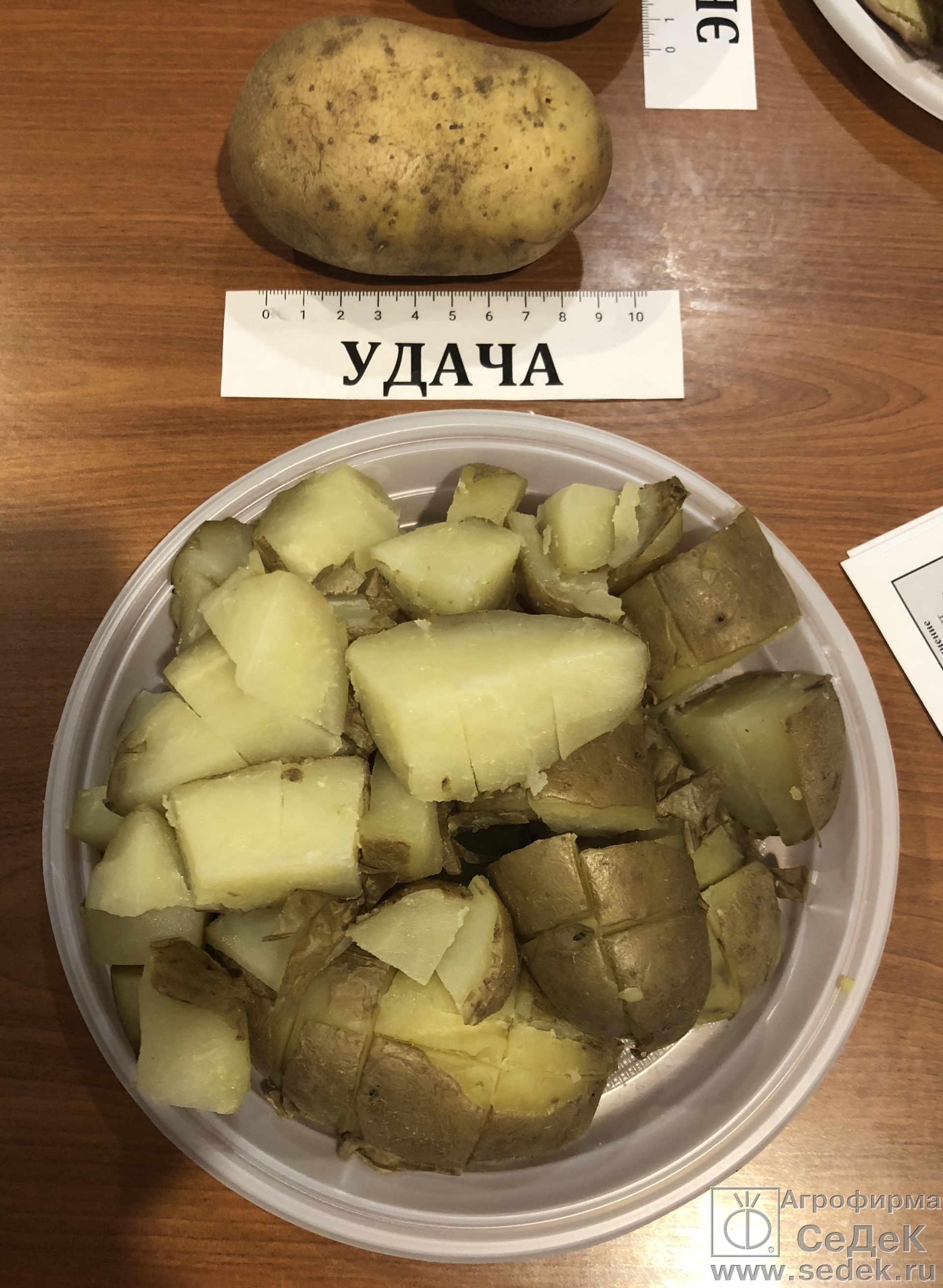 Вкусные сорта картофеля