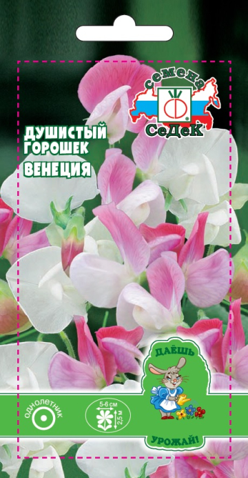 Душистый горошек Венеция (ДУ)