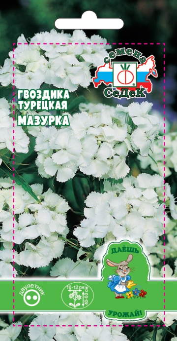 Гвоздика турецкая Мазурка (ДУ)