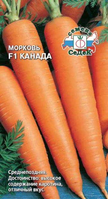 Морковь Канада F1