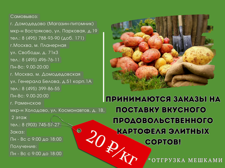 Сортовой столовый картофель Сортовой столовый картофель