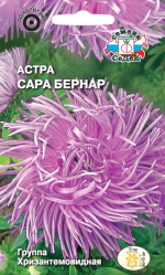 Астра Сара Бернар