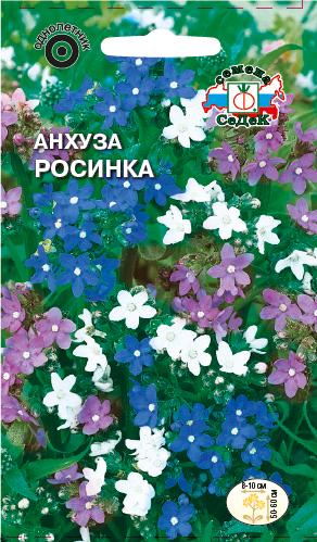Анхуза Росинка капская
