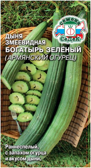 Дыня змеевидная Богатырь зелёный