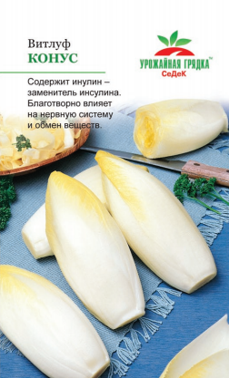 Салат Конус (Витлуф)