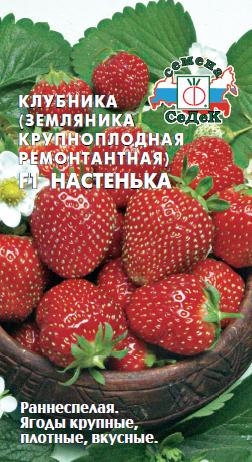 Земляника Настенька F1