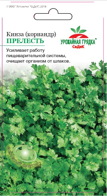 Кориандр Прелесть