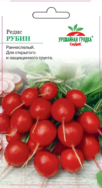 Редис Рубин
