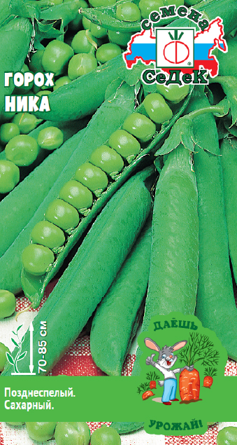 Горох Ника