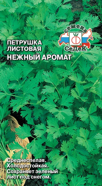 Петрушка Нежный Аромат