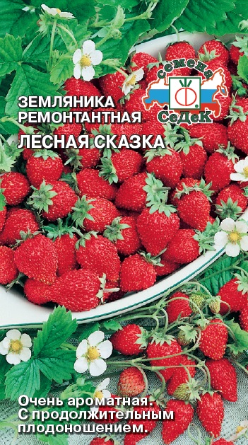 Земляника Лесная Сказка