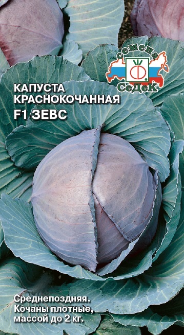 Капуста Зевс F1 (краснокочанная)