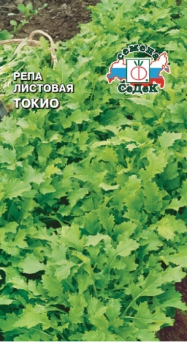 Репа Токио (листовая)