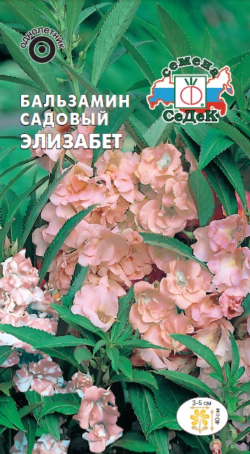 Бальзамин Элизабет