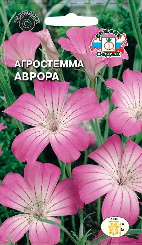 Агростемма Аврора (изящная)