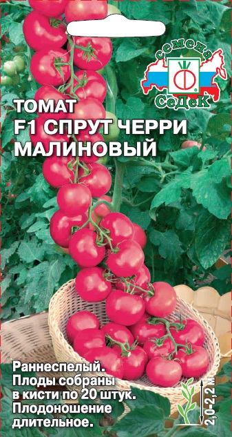 Томат Спрут черри малиновый F1
