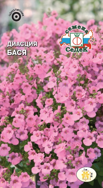 Диасция Бася