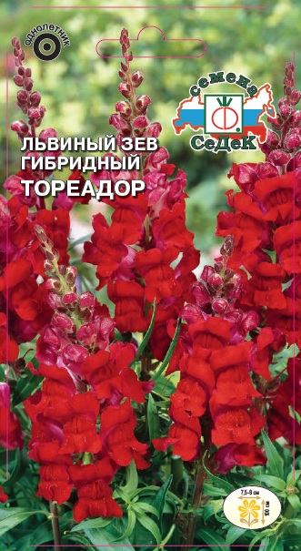 Львиный зев Тореадор F1 (высокий, темно-красный)
