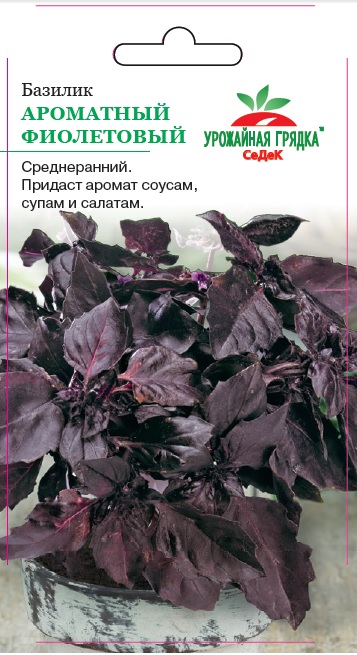 Базилик Фиолетовый