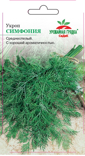 Укроп Симфония
