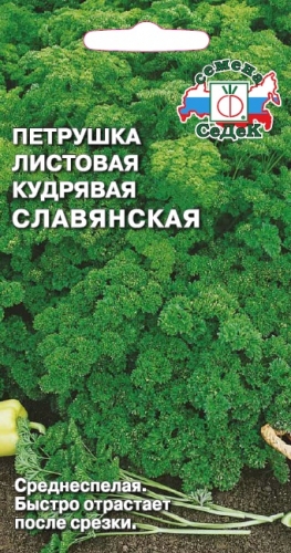 Петрушка Славянская