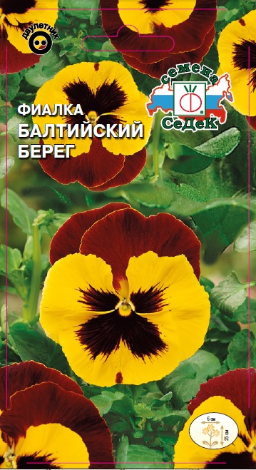 Фиалка Балтийский берег