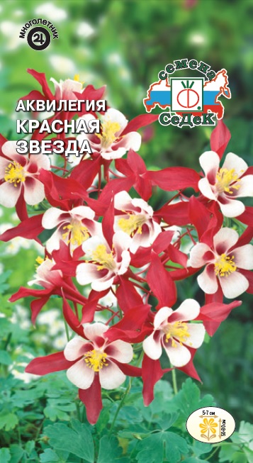 Аквилегия Красная звезда