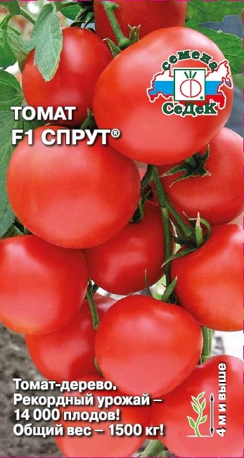 Томат Спрут® F1