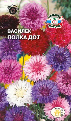 Василек Полка Дот