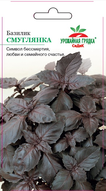 Базилик Смуглянка