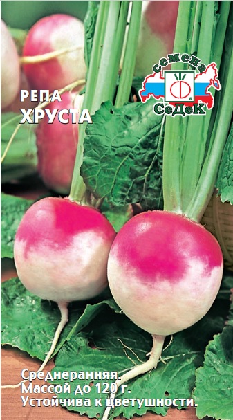 Репа Хруста