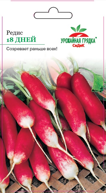 Редис 18 дней