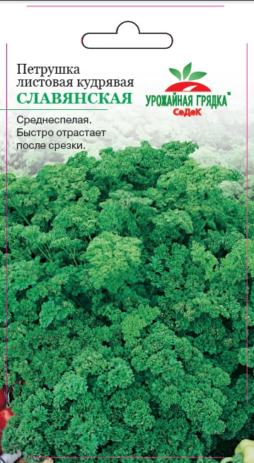 Петрушка кудрявая Славянская