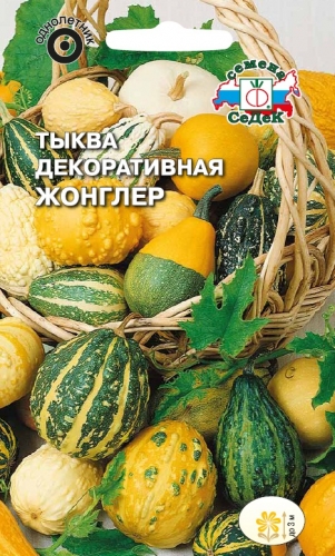 Тыква Жонглер