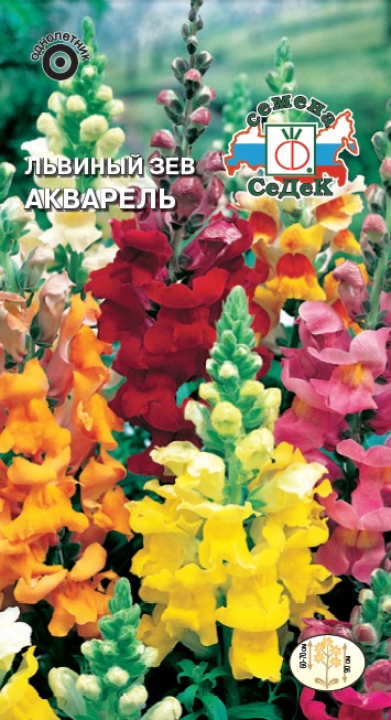 Львиный зев Акварель (смесь)
