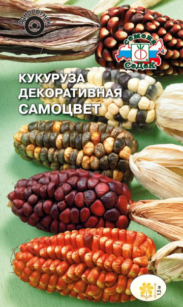 Кукуруза декоративная Самоцвет