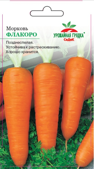 Морковь Флаккоро