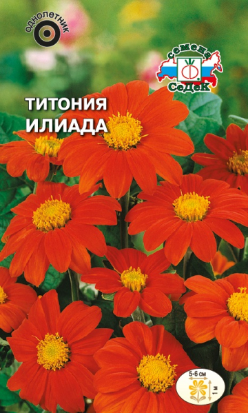 Титония Илиада