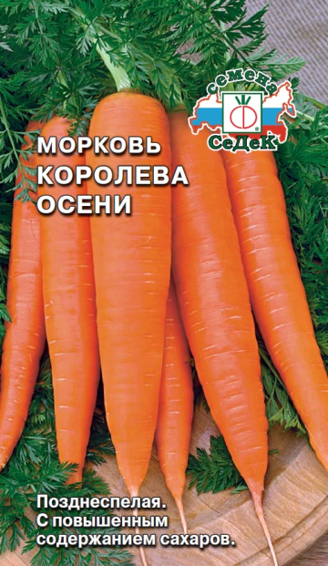 Морковь Королева Осени