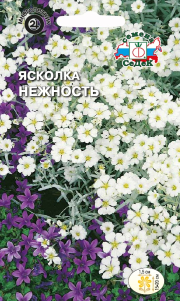 Ясколка Нежность