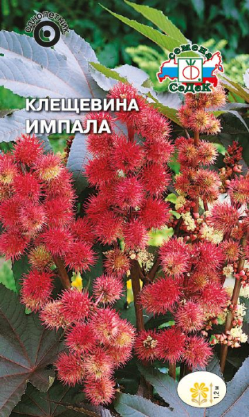 Клещевина Импала