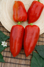 Перец Удача