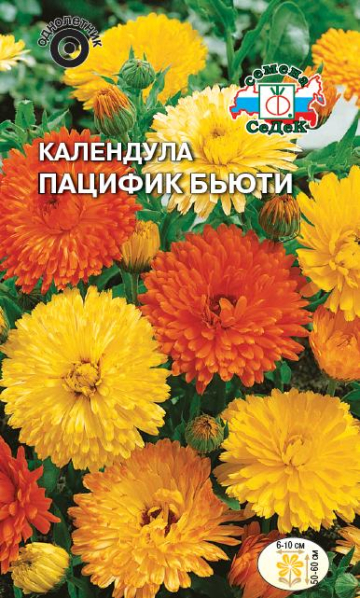 Календула Пацифик Бьюти (смесь)