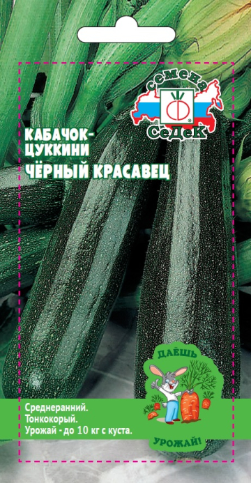 Кабачок-цуккини Чёрный красавец