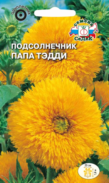 Подсолнечник Папа Тэдди