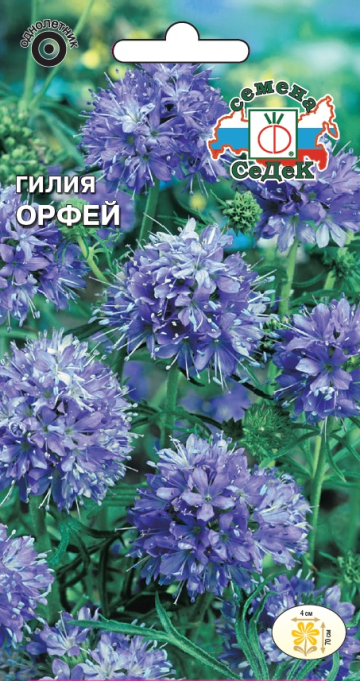 Гилия Орфей