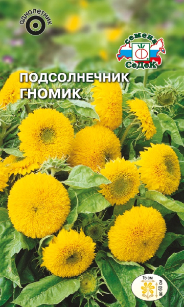 Подсолнечник Гномик