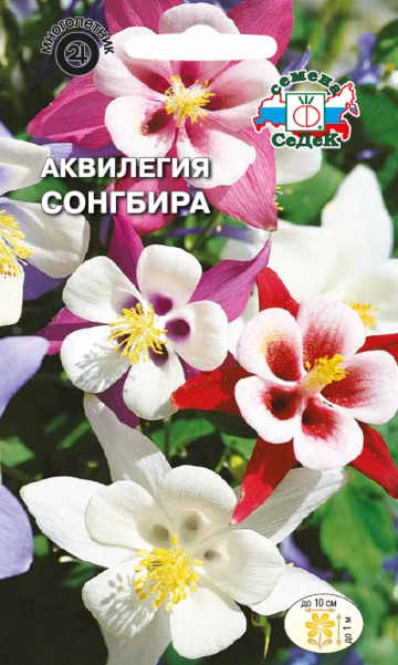 Аквилегия Сонгбира