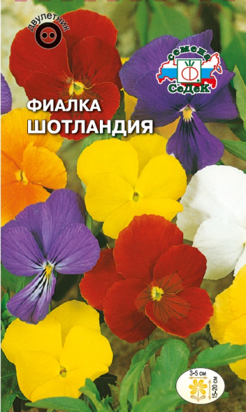 Фиалка Шотландия рогатая (гибридная смесь)
